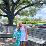 ZARA  Dress Mini White Photo 1