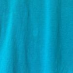 Lacoste Women's  Classic Teal V-Neck Logo Iconic Pullover Shirt Size 6 GUC #6907 Photo 2