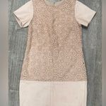 Hunter Bell  Pink Lace and Leather Short Sleeve Dress Photo 0