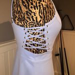 Periwinkle Semi Photo 2