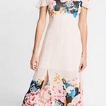 EXPRESS Blush Floral Midi Dress XS Photo 0