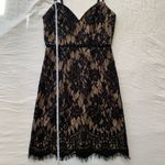 Tobi After Dark Lace Mini Dress Photo 11