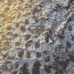 Lavish FINAL MARKDOWN Ladies  top medium NWT Photo 1