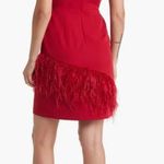 Sam Edelman Feather hem sheath Red Wine Dress NWT $158 Valentines Woman size 8 Photo 3