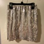 Silver Skirt Size XS Photo 0