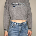 Charlotte Russe  Gray West Coast Cropped Sweater Size Medium Photo 0