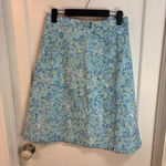 Lilly Pulitzer Vintage "Kiss The Cook" ruffle A-line skirt Photo 1