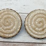 Vintage Clip On Earrings Large Beige Spiral 1 & 1/8" Photo 0