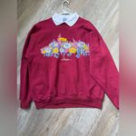 Hanes VTG Grandma Sweatshirt Alaska Collar Red Pink Blue Hippie Boho Floral Size XL Photo 7