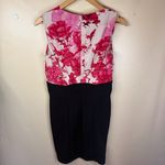 Ted Baker Dega Floral Etching Cowl Neck Silk Dress Size 8 Knee Length Spring Photo 6