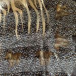 Leopard Cub Safari Print Sheer Multi Purpose Scarf Size OS Brown Photo 8