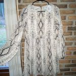 Bella Rose Boutique Botique Dress Photo 0