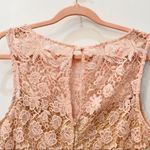 Bisou Bisou  Blush Pink Lace dress sz 8 Photo 3