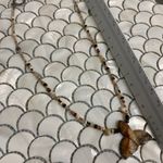 Handmade Hand Crafted Whale Fin Beachy Necklace Photo 1