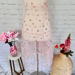 Boutique NEW Mesh Slip Photo 7