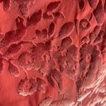 Agnes & Dora  Pink Boxy Relaxed Crop Top Photo 5