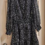 Steve Madden  V-Neck Long Sleeve Dot Smocked Waist Minidress  Size L Photo 0