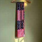 American Flag Pattern Scarf Red Photo 2