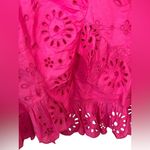 J.Crew NWT Women’s Pink Embroidered Eylet Ruffle Front Pull On Midi Skirt Medium Photo 3