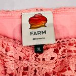 Farm Rio  Light Pink Guipure Sleeveless Corset Photo 5