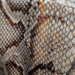 Boston Proper  1 Button blazer! Stunning Photo 3