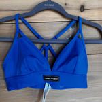 Savagexfenty Blue Medium Sports Bra Photo 0