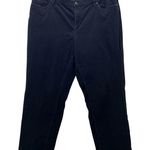 Lands' End Womens Corduroy Pants Size 18W Dark Academia Preppy Professor Stretch Photo 0