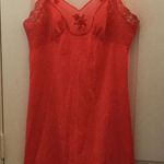 FINAL MARKDOWN Ladies’ Lace Photo 0