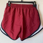 Nike Maroon Dri-Fit Shorts Photo 2