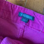 Wild Fable  size 4 mini skirt Photo 3