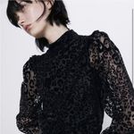 ZARA  Organza Velvet Animal Print Puff Sleeve Top size M Medium Photo 14