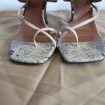 Paris Texas Python Snake Photo 5