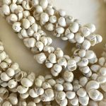 Hawaiian Mongo Shell Lei Necklace Photo 4