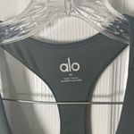 Alo Yoga Airlift Fly Dress in Dark Cactus M Photo 7