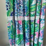 Lilly Pulitzer  Ivie Maxi Dress Multi Kitten Around Photo 3