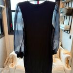 Sanctuary Black Dress with Sheer Sleeves size Medium Photo 1