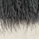 Bebe  Isis Lace Feather Strapless Bustier Cocktail Black Mini Dress Photo 2