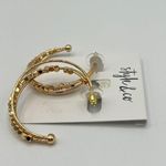 Style & Co Beaded Hoop Earrings in Gold-Tone MSRP $20 NWT Photo 3