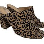 Madden Girl Agust Animal Print Leopard Mules 11 Photo 0
