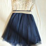 Homecoming Elegant Navy and Cream dress Blue Size 6 Photo 1