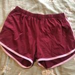Popular Basics Shorts Photo 0
