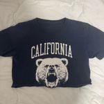 Brandy Melville  california blue crop top grizzly bear Photo 1