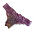 Beach Bunny  Bikini Bottom Photo 1