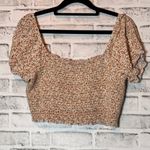 Aerie  Tan and Brown Puffed Crop Blouse size‎ M floral print Photo 2