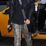 Isabel Marant  X H&M collaboration‎ metallic shimmer jogger Limited Edition Photo 0
