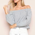 Brandy Melville Top One Size THEIA Gray Striped Off the Shoulder Crop Photo 1
