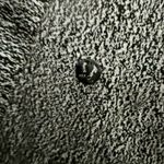 Lululemon ATHLETICA | Ready To Rulu Pant Spray Jacquard White Black Joggers | 6 Photo 8