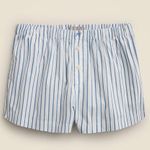 J.Crew Cotton Poplin Boxer Shorts Striped Large NEW NWT White Blue Photo 5
