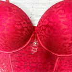 NWT Spree Intimates Pink Lace Sheer Mesh Push Photo 2