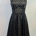 Plenty By Tracy Reese Plenty Tracy Reese Anthropologie Black Embroidered Sheer Dot Cocktail Dress 6 Photo 0